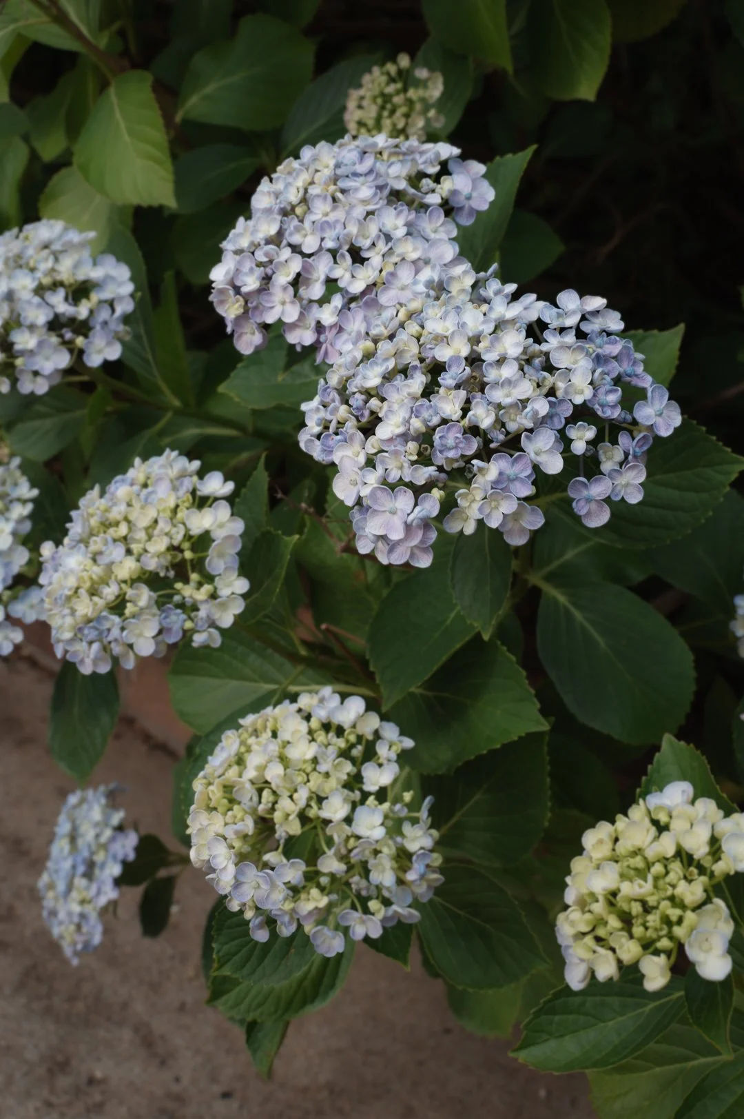 wedding, wedding day, Armidale wedding photographer, wedding photographer, Armidale wedding, editorial, editorial photographer