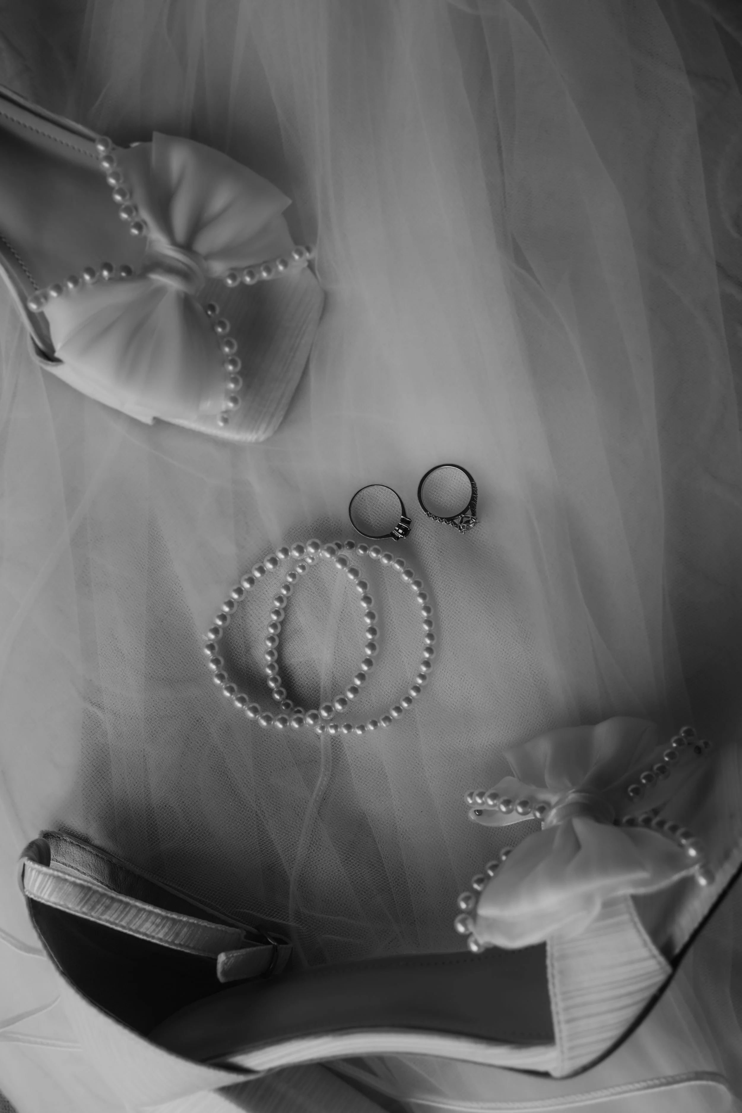 Madison + Angus-10.jpg