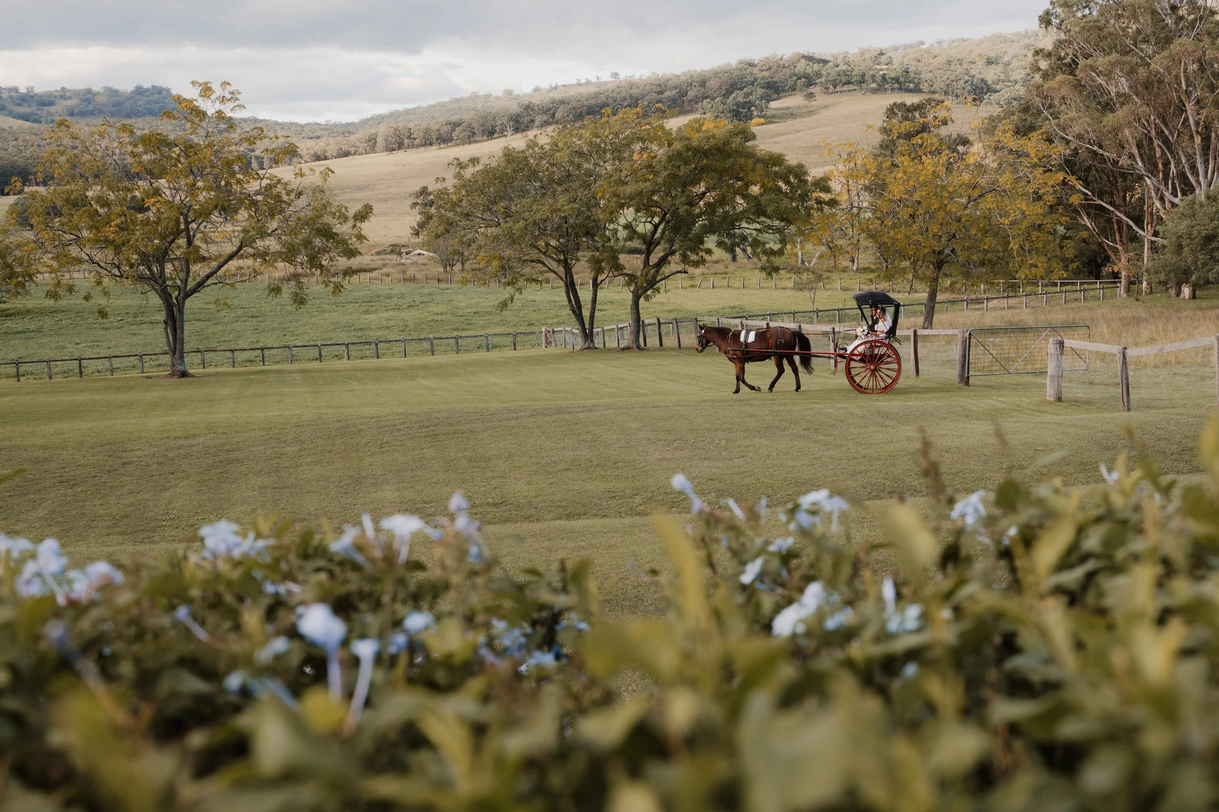 Madison + Angus-320.jpg