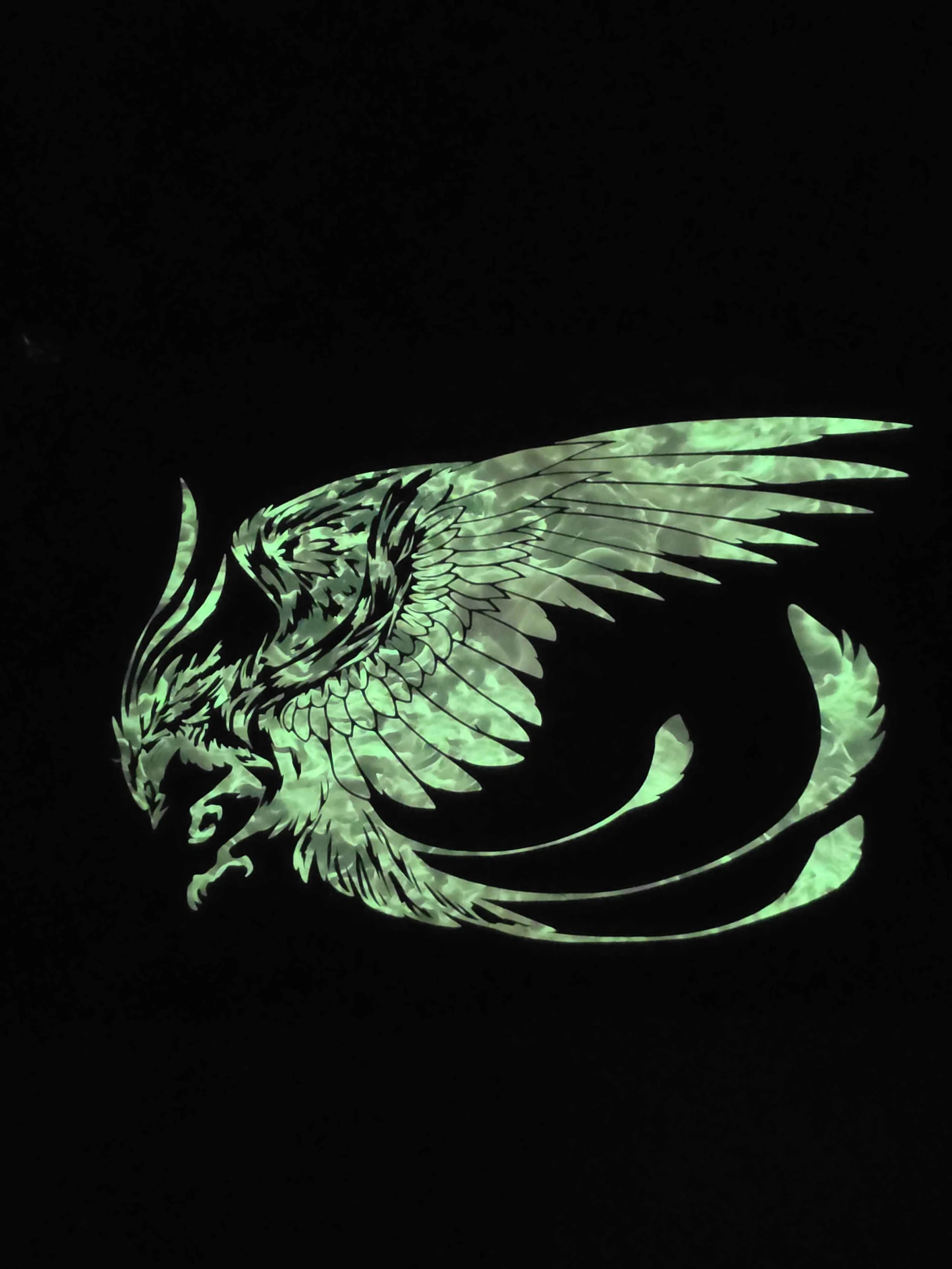 bag_phoenix_A.jpg