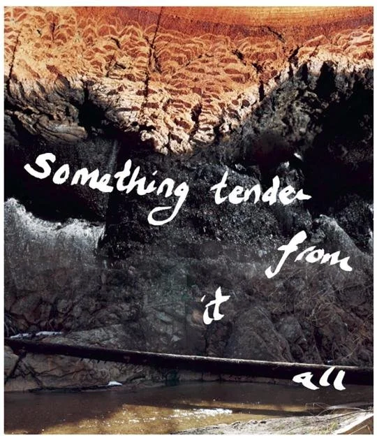 Something Tender From It All