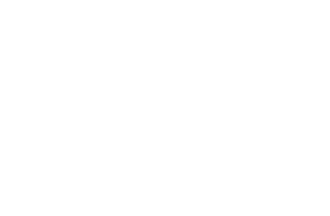MediMirror-Split Polarizers