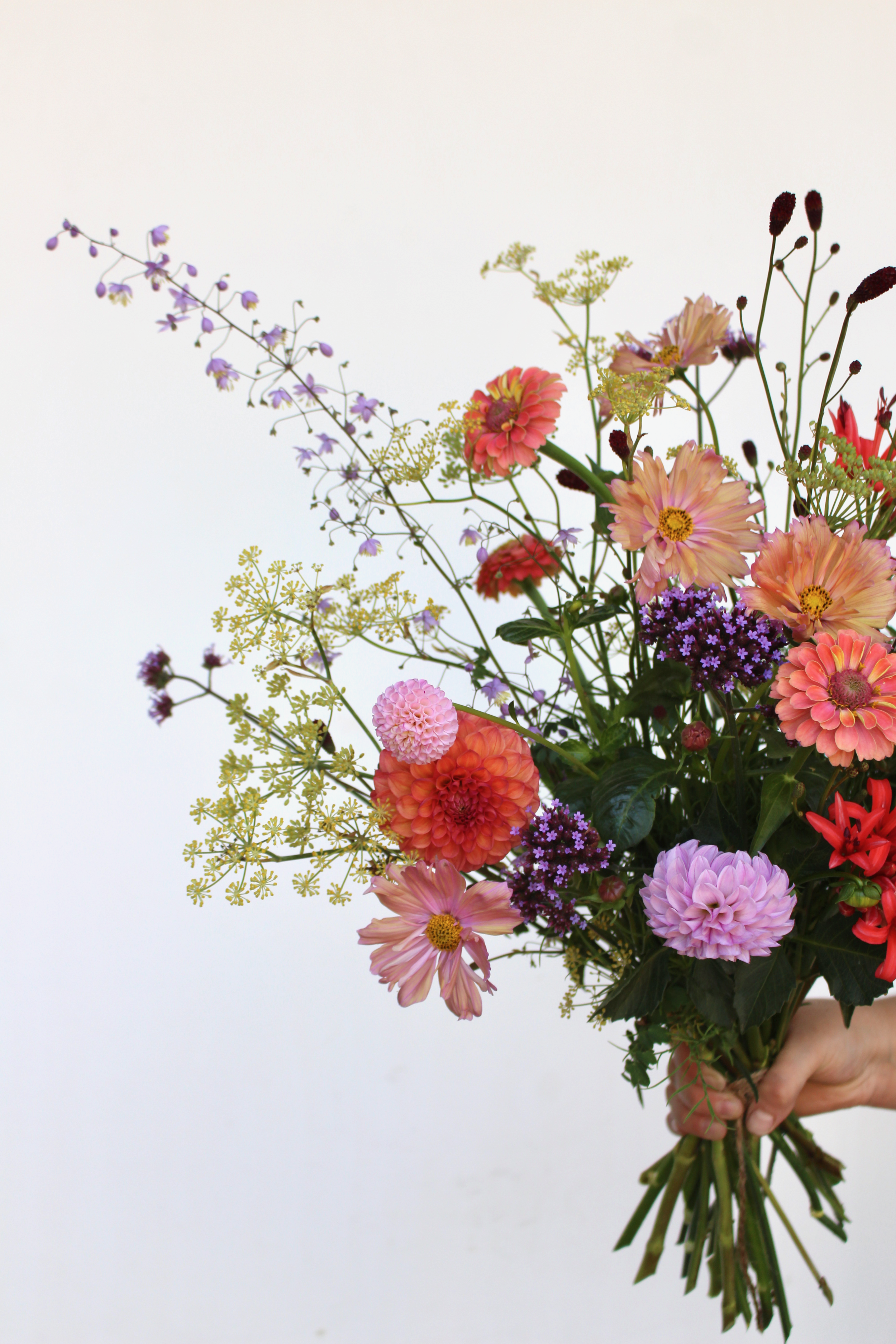 IMG_1466 (1).png