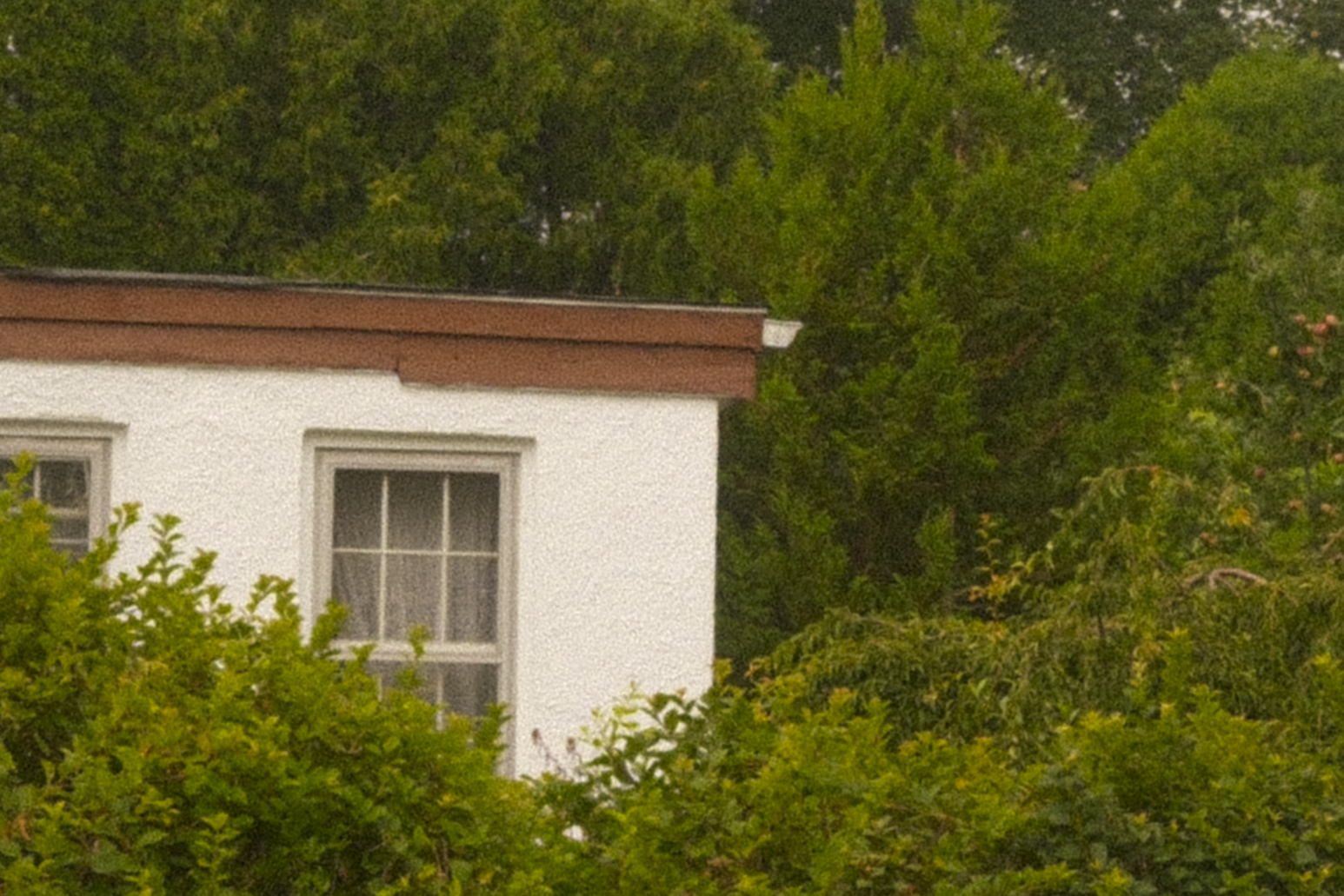 DSCF9802.png