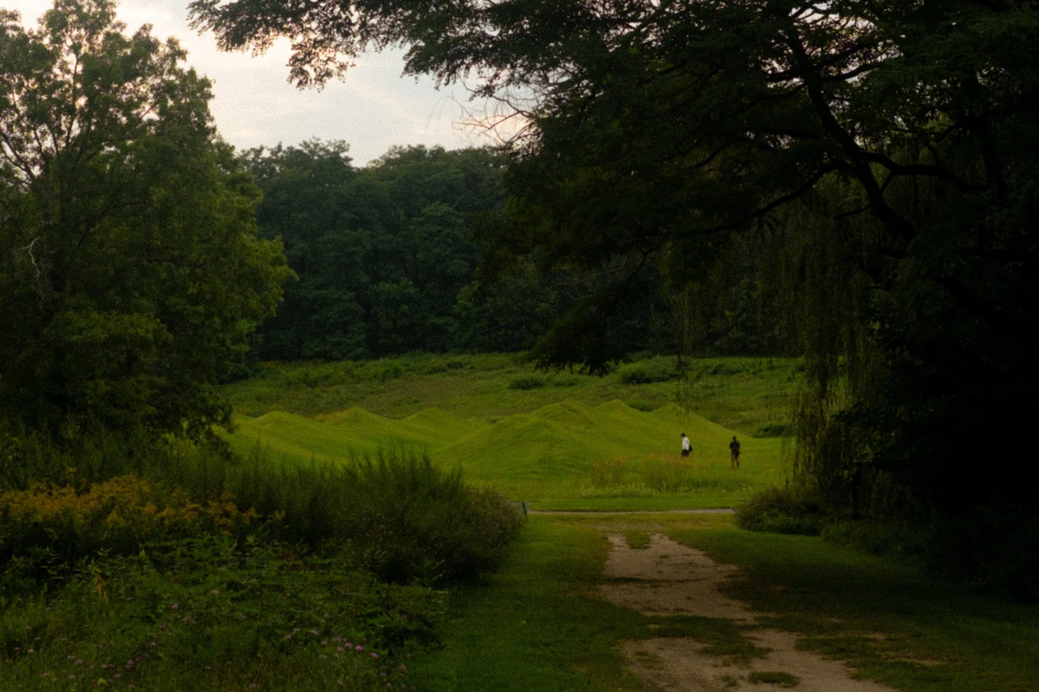 DSCF0392.jpg