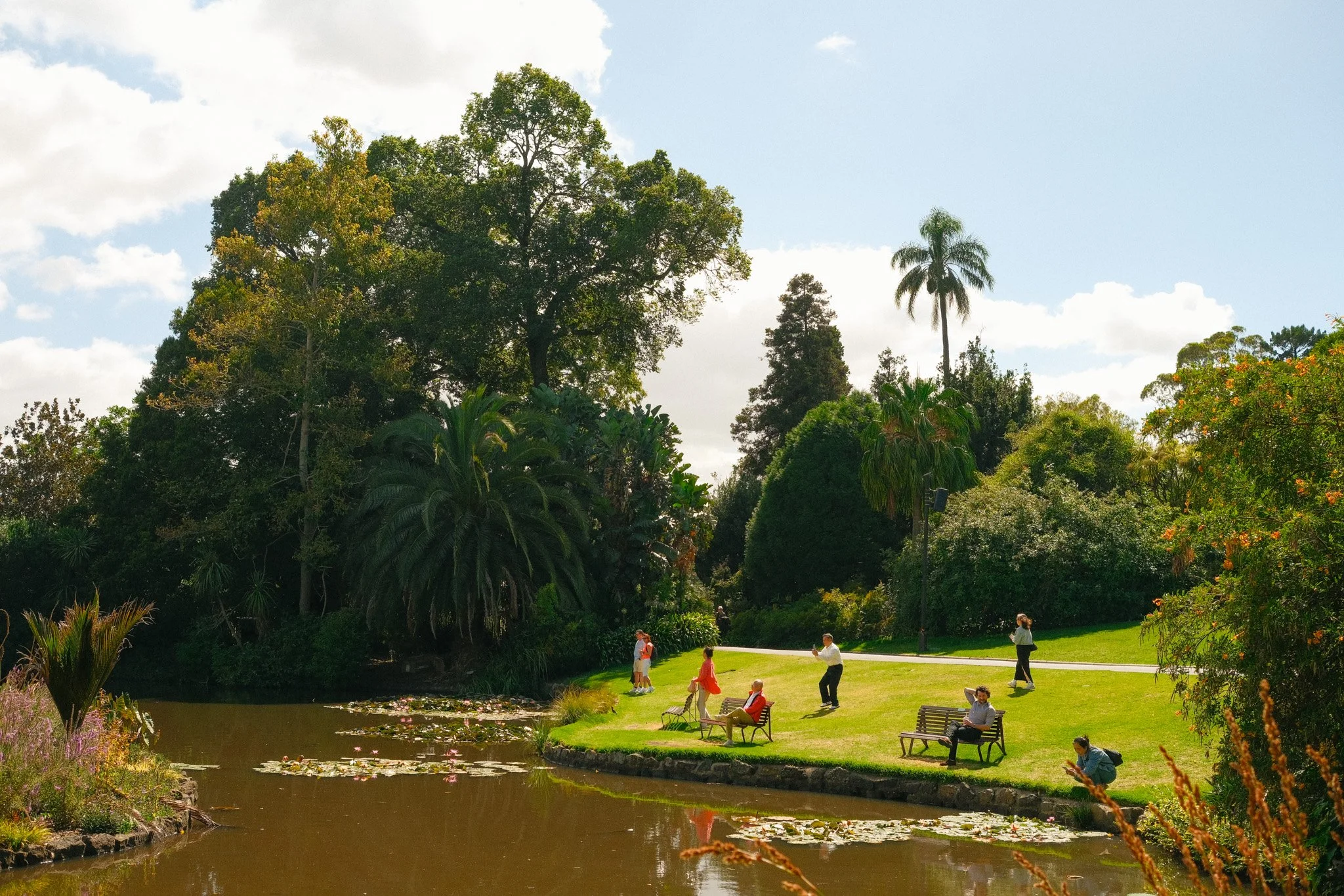 DSCF3890.jpg