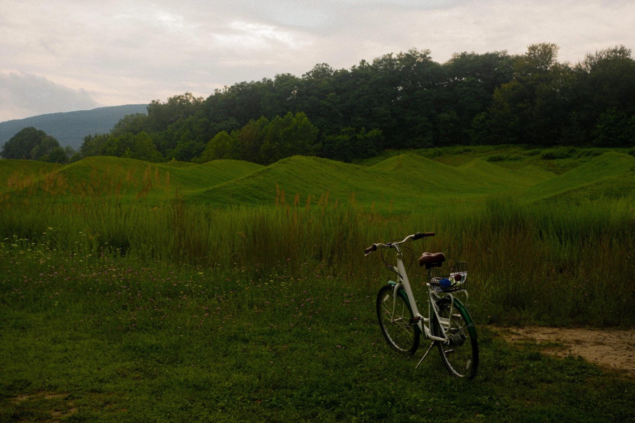 DSCF0359-2.jpg