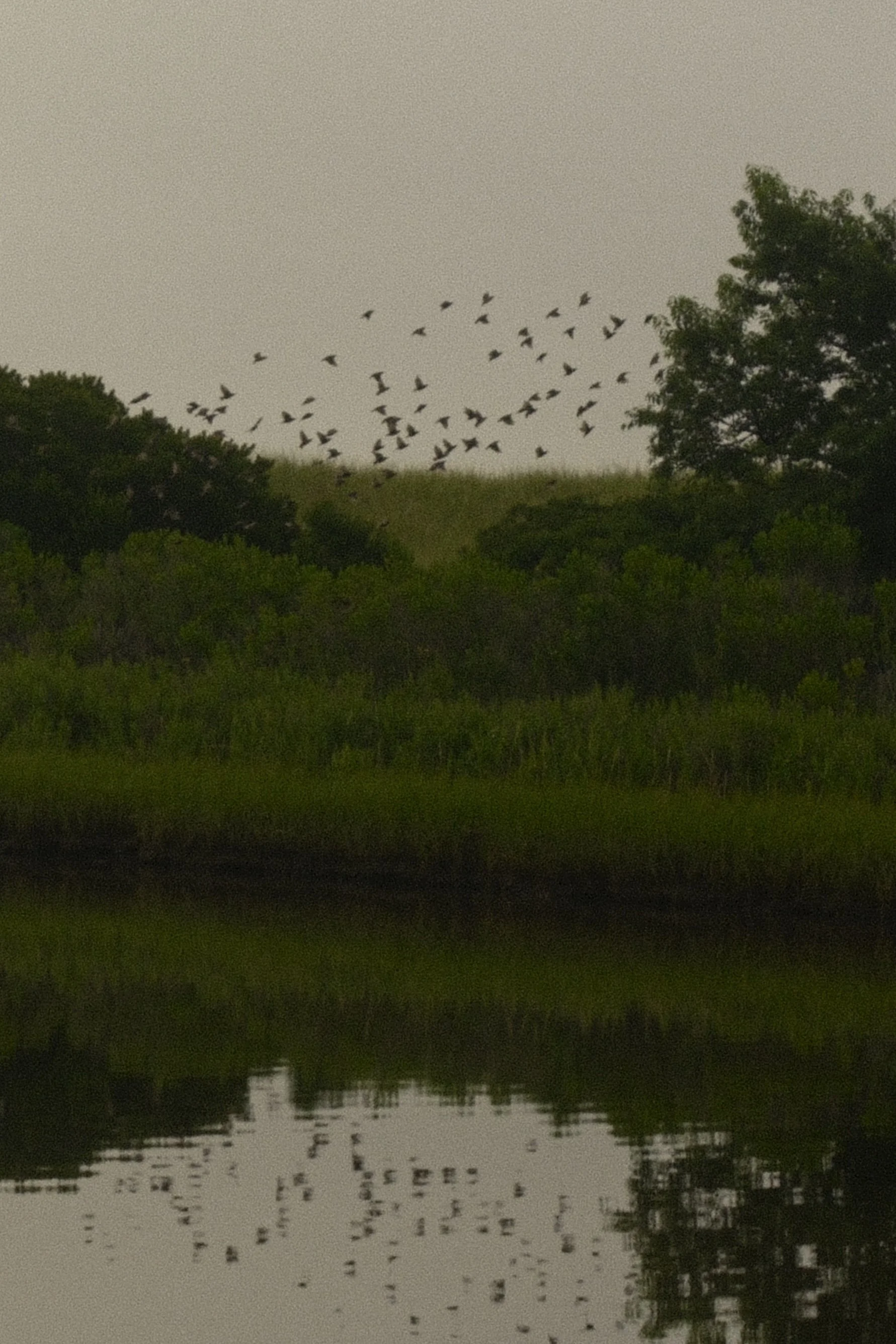 DSCF9678.jpg