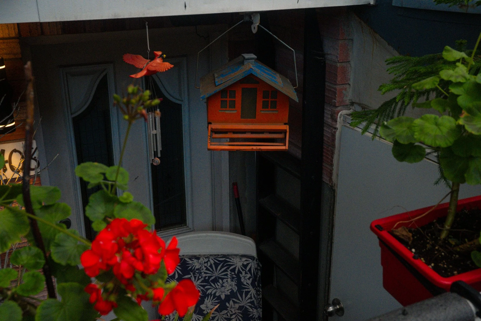 DSCF0771.jpg