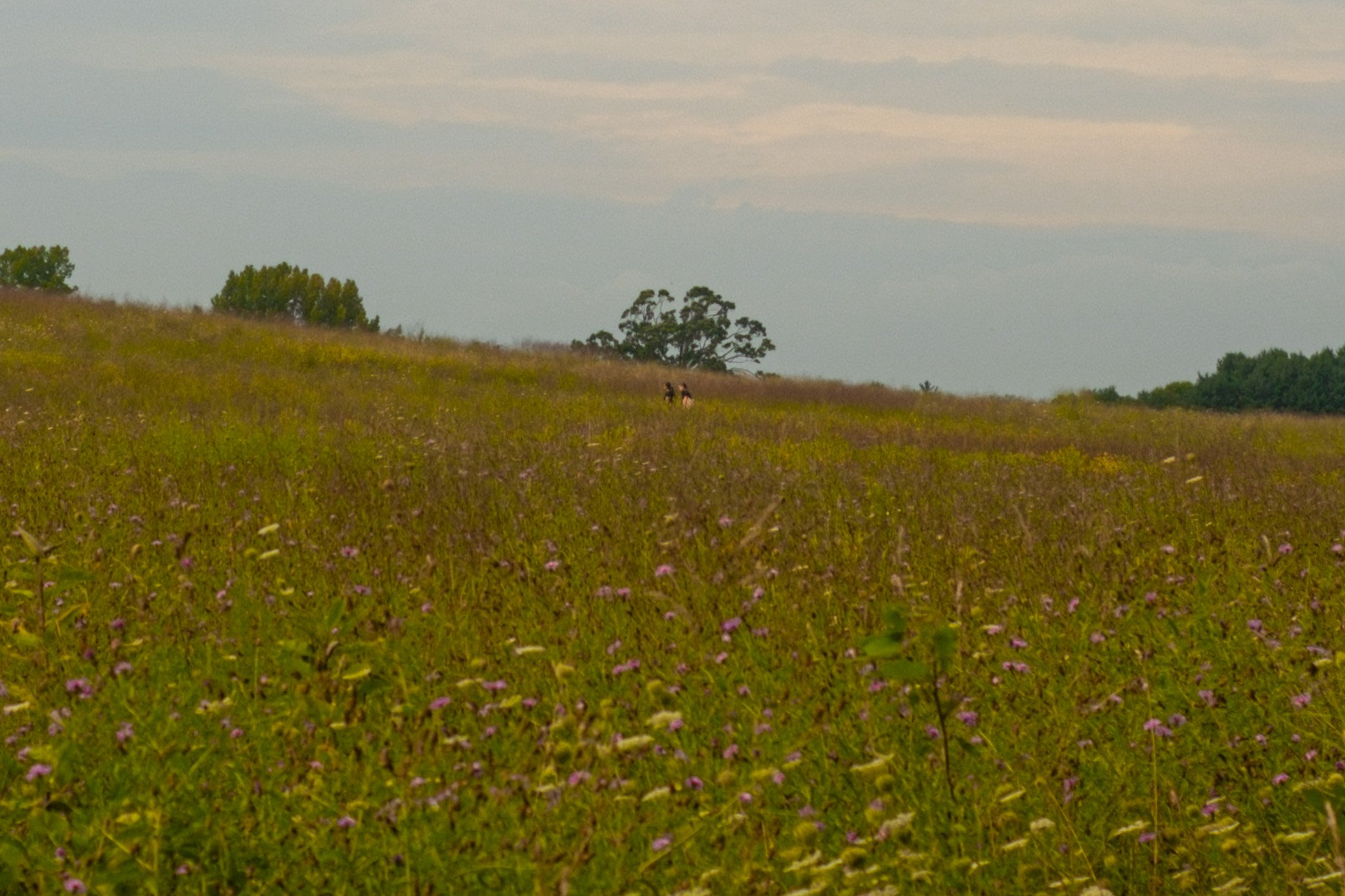 DSCF0423.jpg