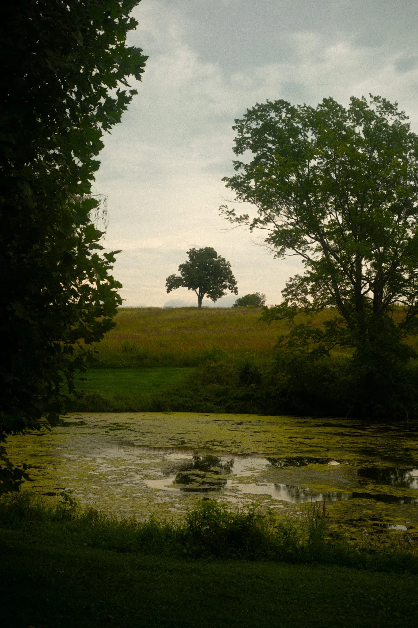 DSCF0347.jpg