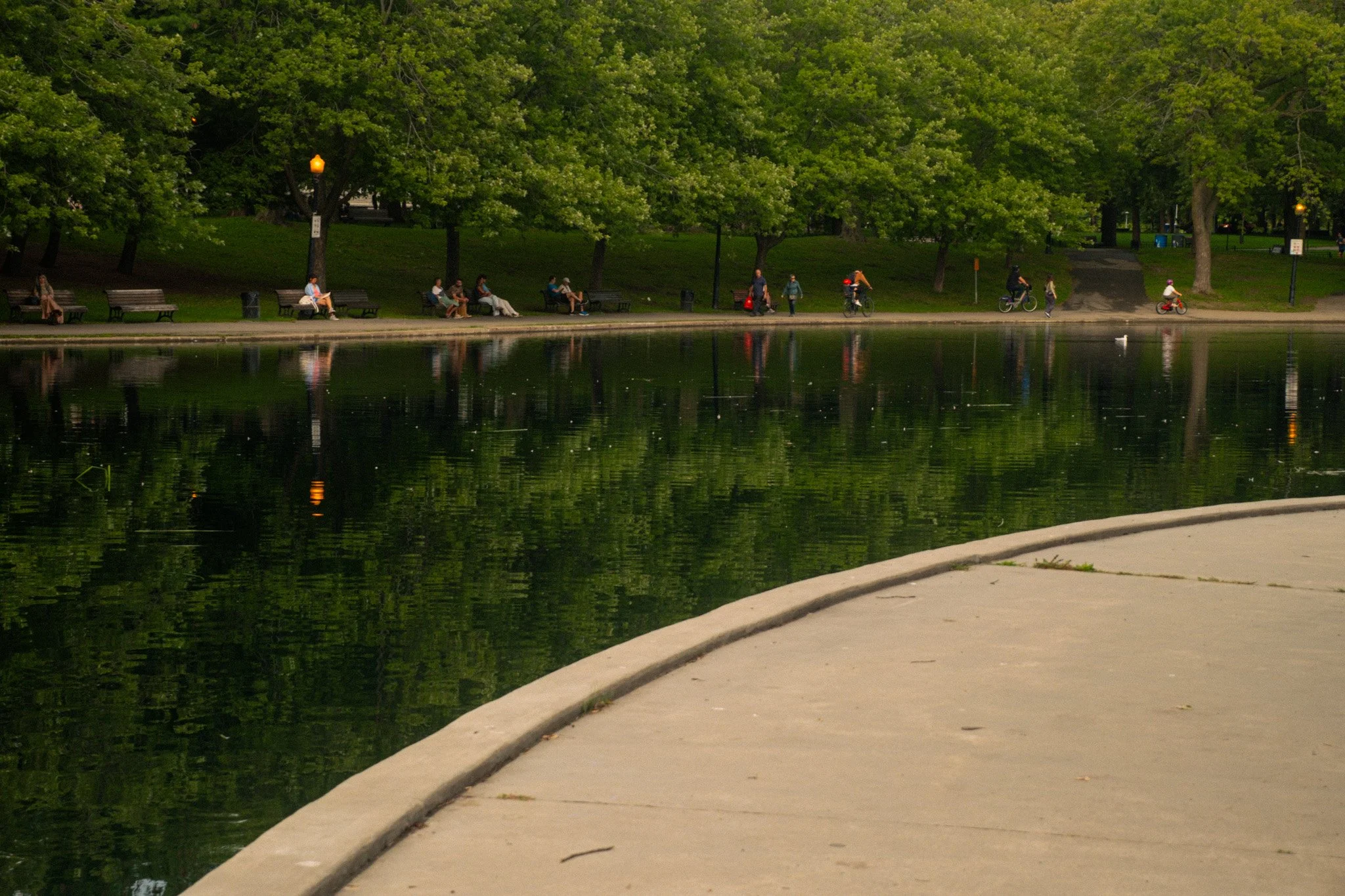 DSCF0733.jpg