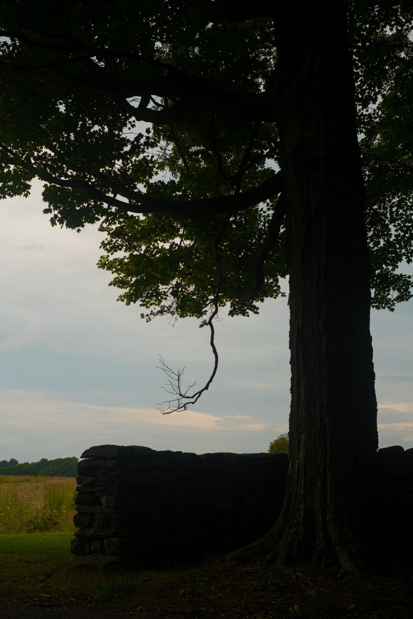 DSCF0398.jpg