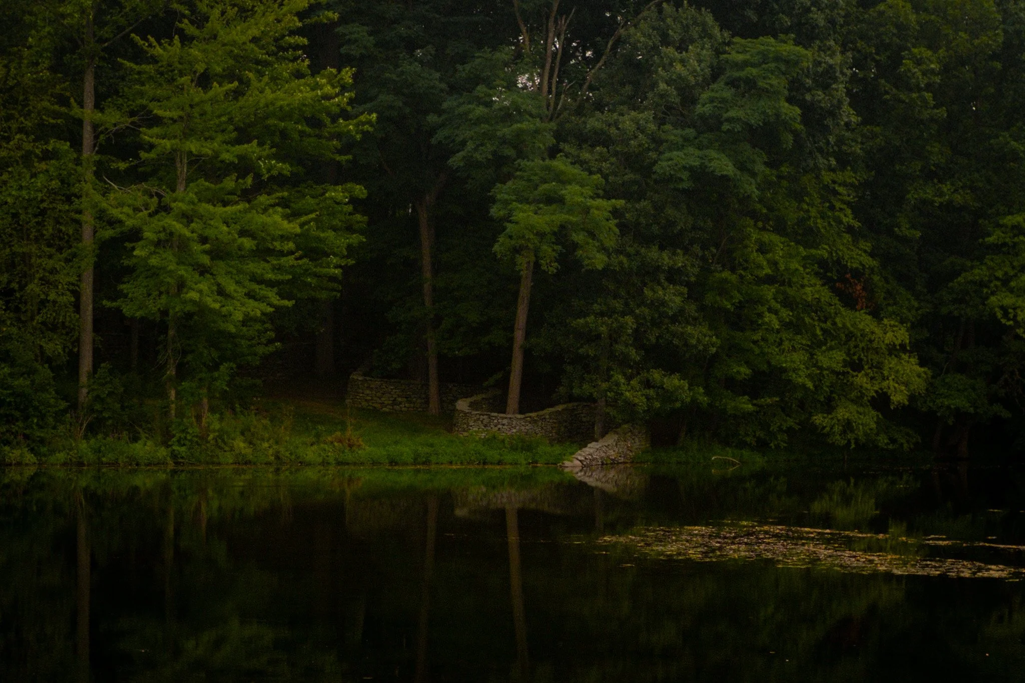 DSCF0352-2.jpg