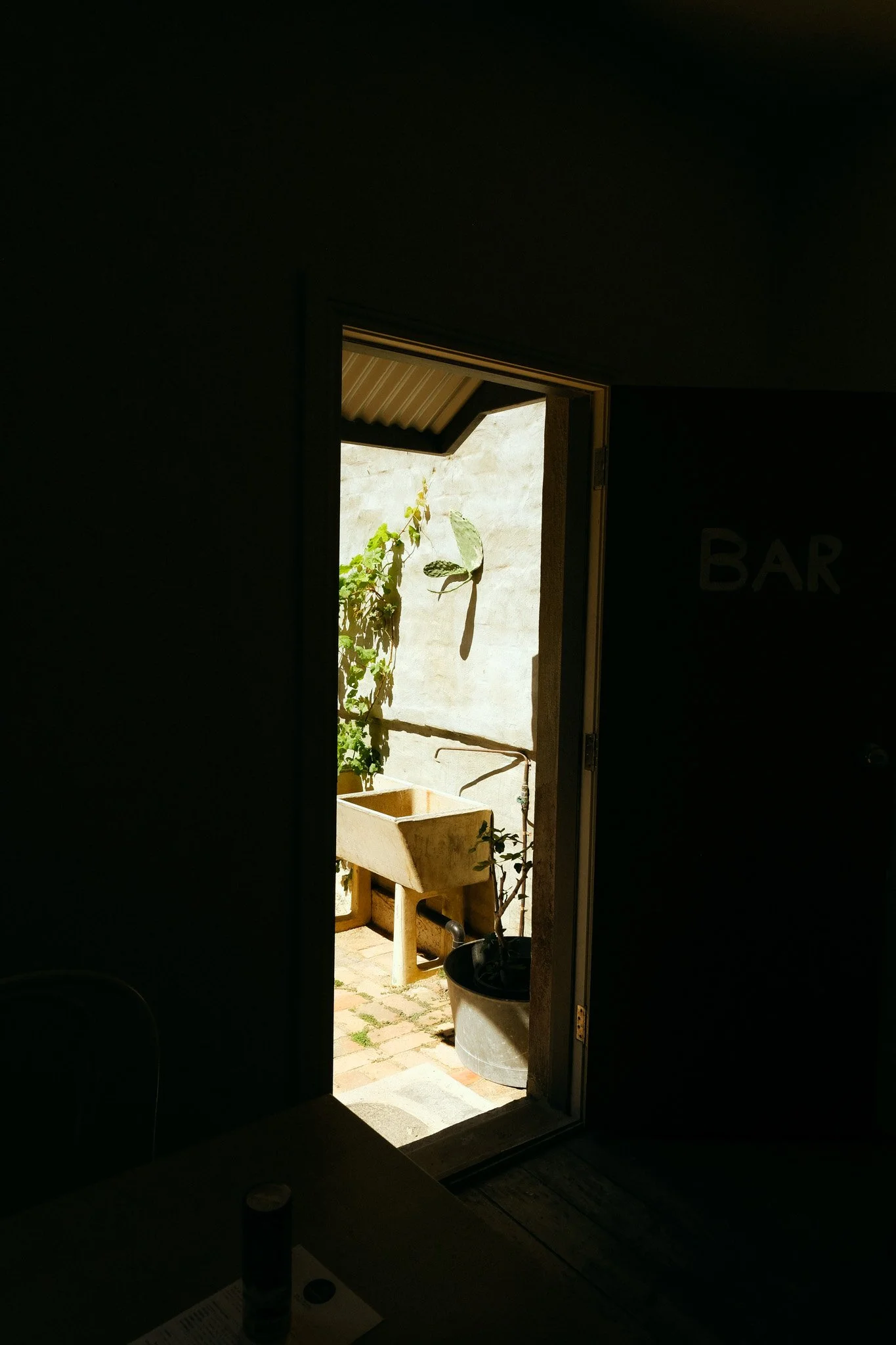 DSCF4568.jpg
