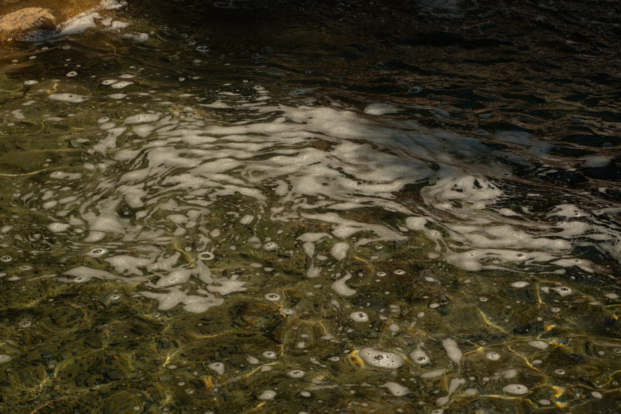 DSCF0945.jpg