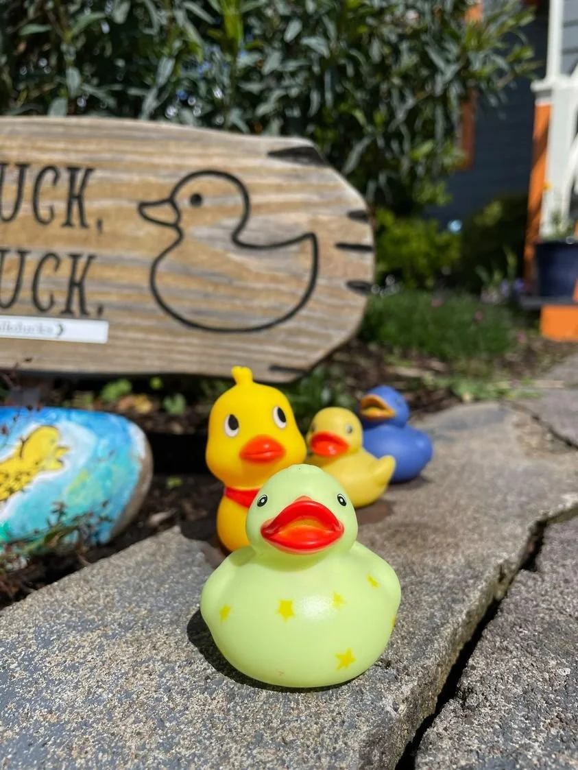 Sidewalk Ducks pic.jpeg