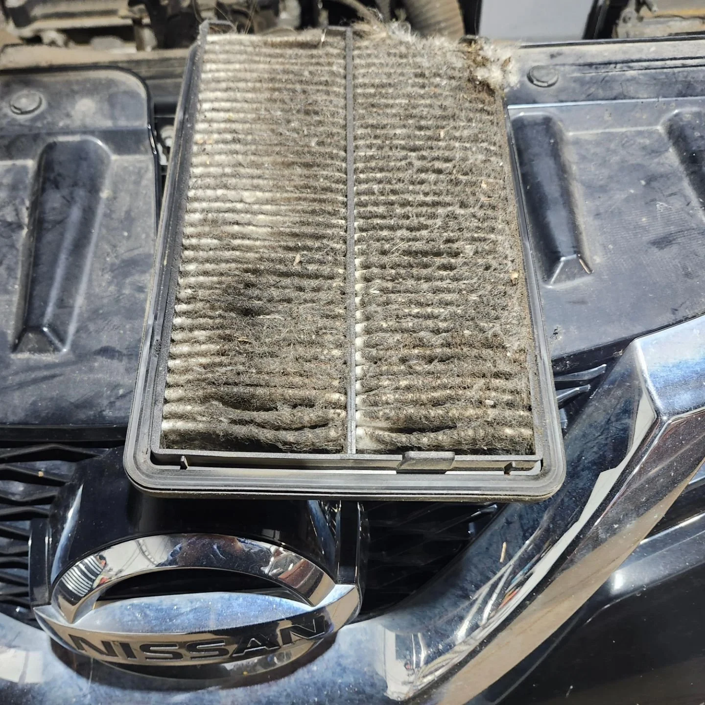 Basic maintenance is cheaper than getting a new engine.
#dirtyair #nissan #yuck