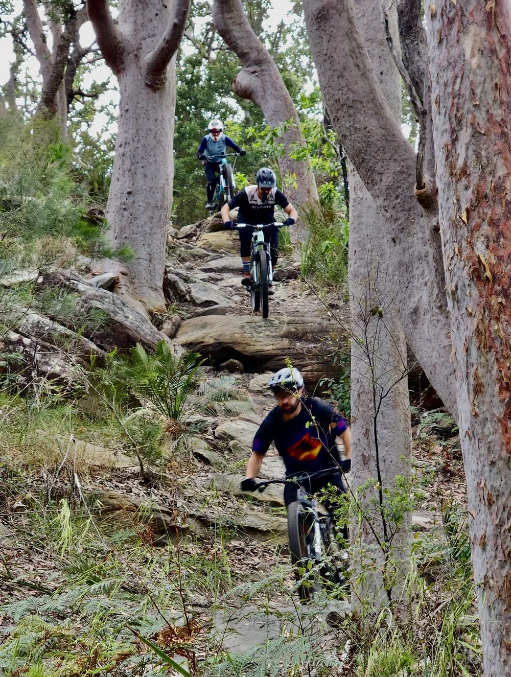 Three mountain bikers riding down rocky bushland trail.jpeg