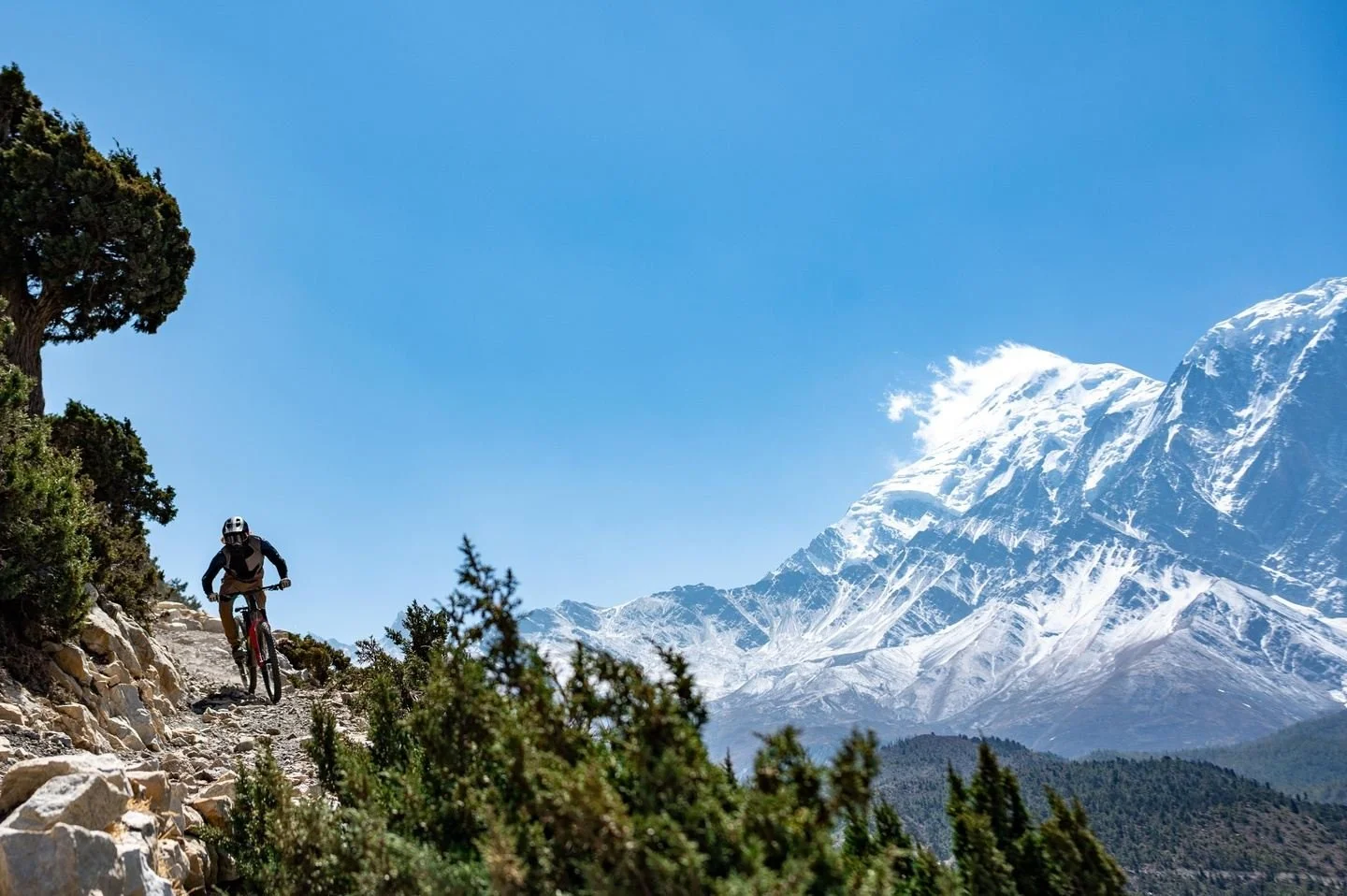 Mountain biker riding on track in front of Himalyan peak