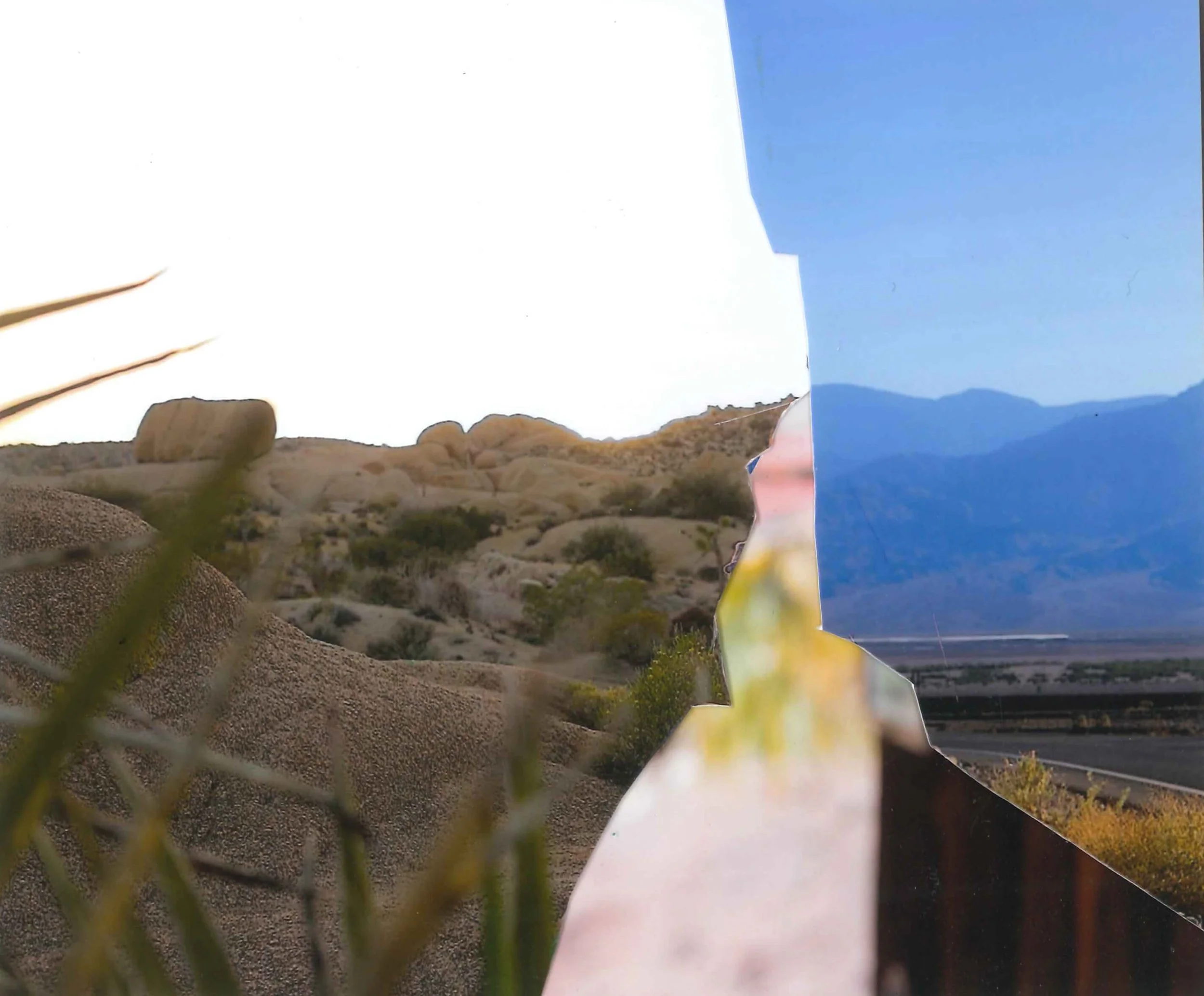 4.Present Landscape.jpg
