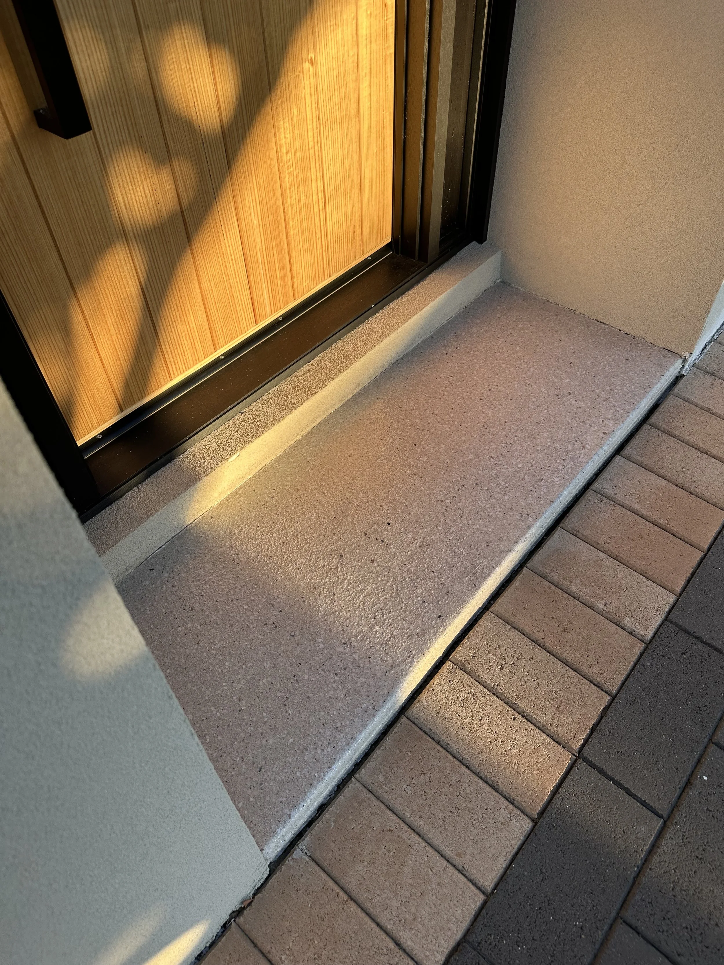 Close-up of a small concrete porch or step area outside a door with a wooden panel, surrounded by tiled flooring.