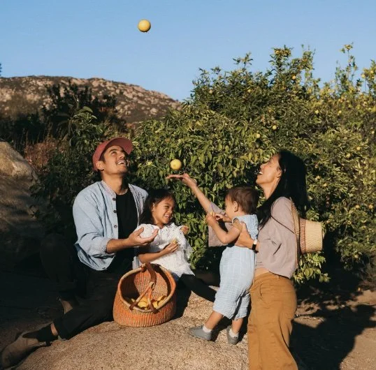 Screenshot 2025-06-24 at 9.52.21 AM.jpg