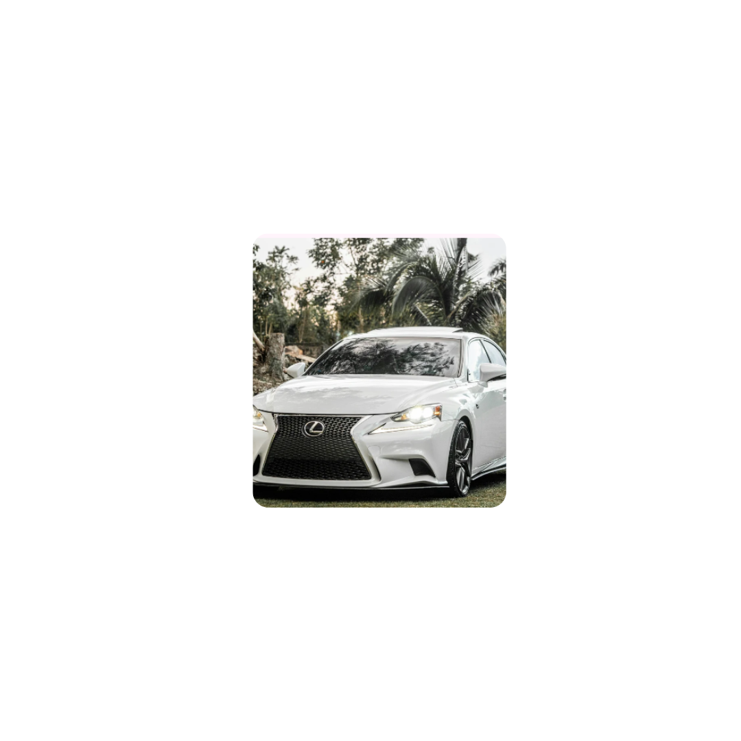 White lexus under a tree