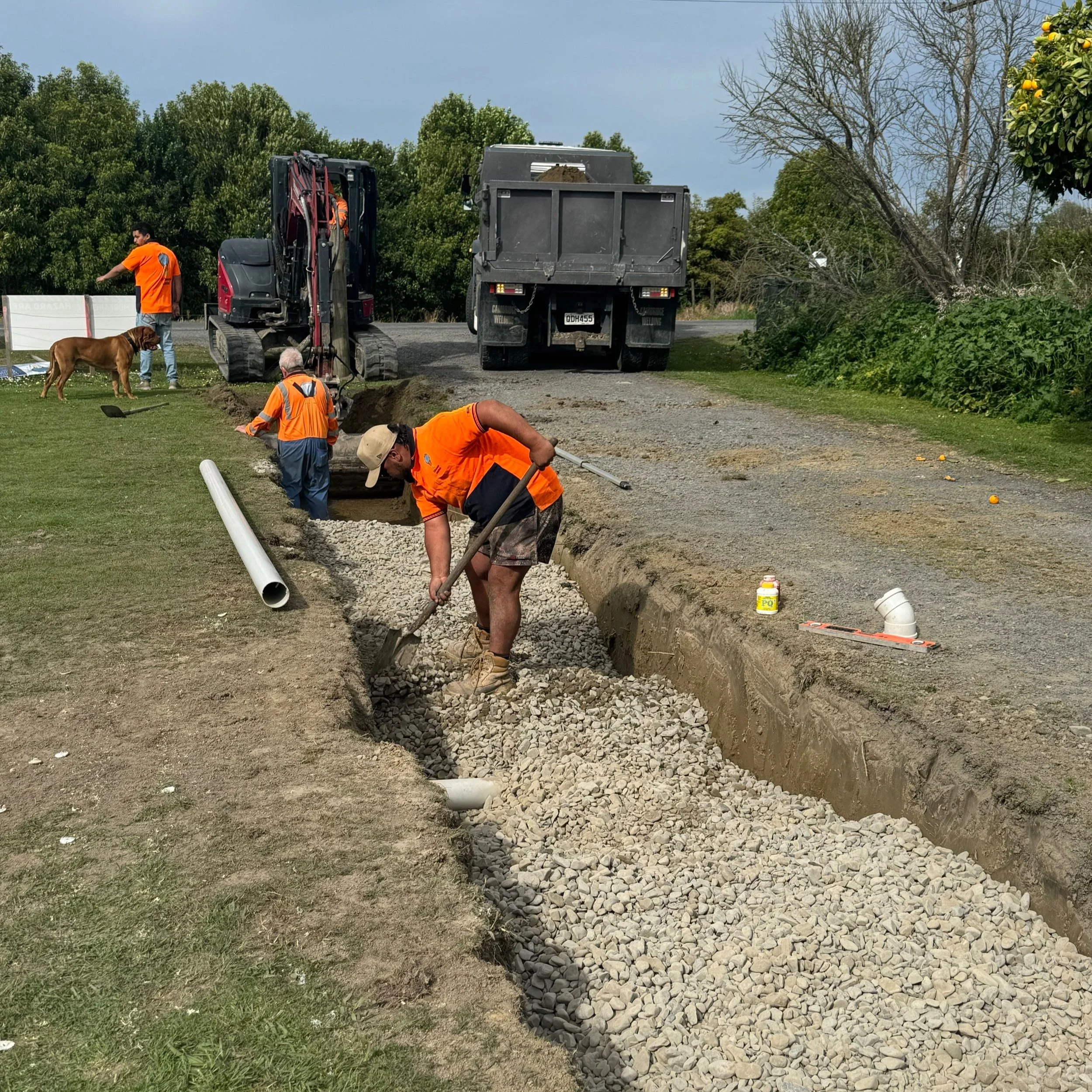 Nui, Scott + Fat Boy