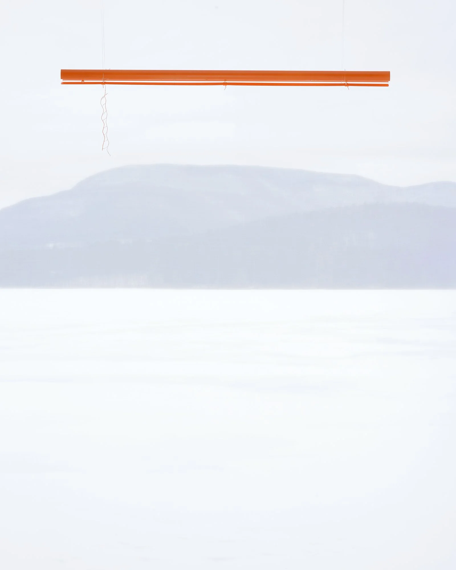 _D806303 FLAT SZ.jpg