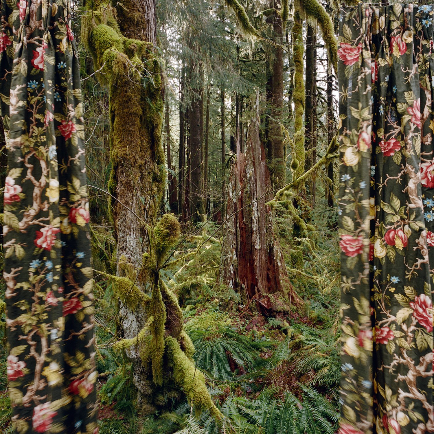 Untitled #70 (Marjory’s World), 2022