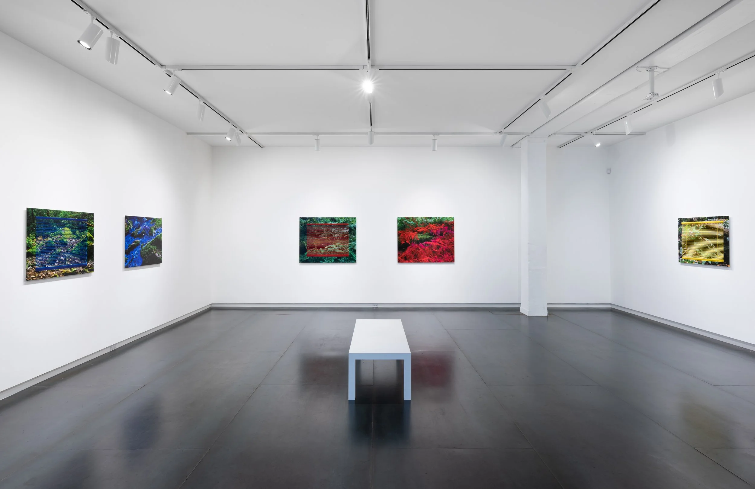 Exhibition installation, Upfor gallery, 2019