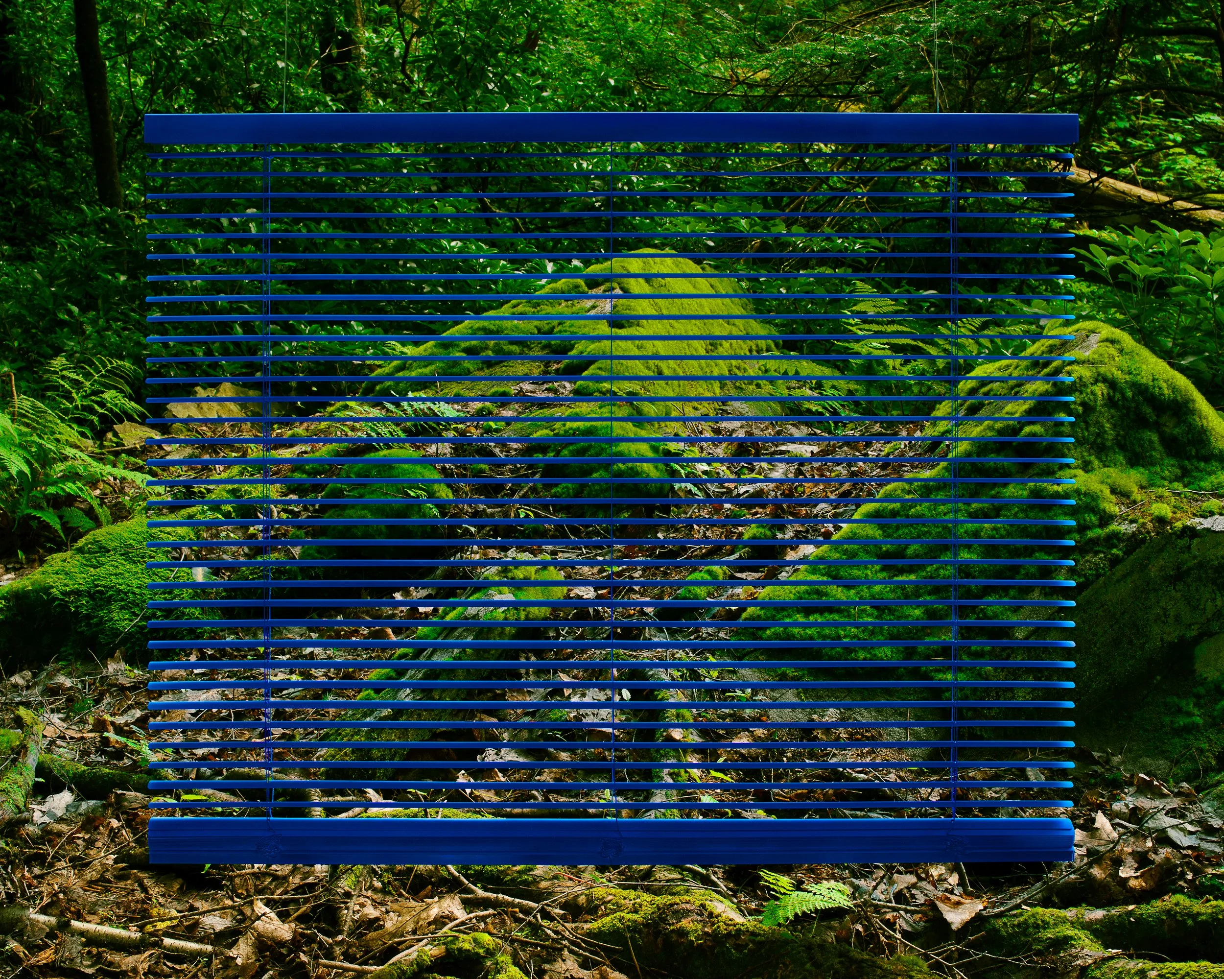 RR_blue-shade.jpg
