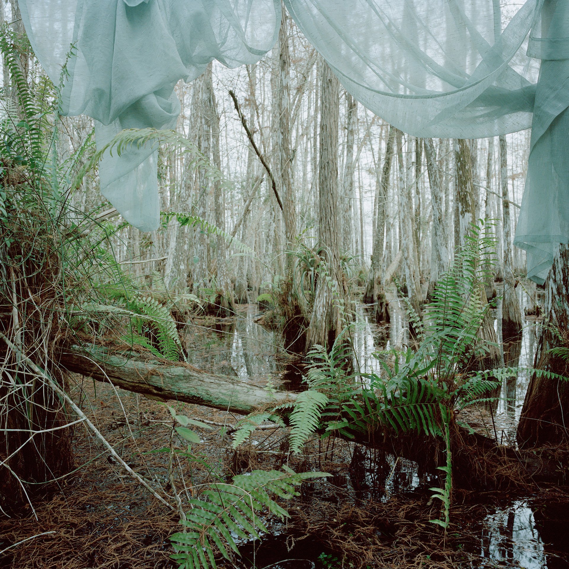 Untitled #3 (Marjory’s World), 2012