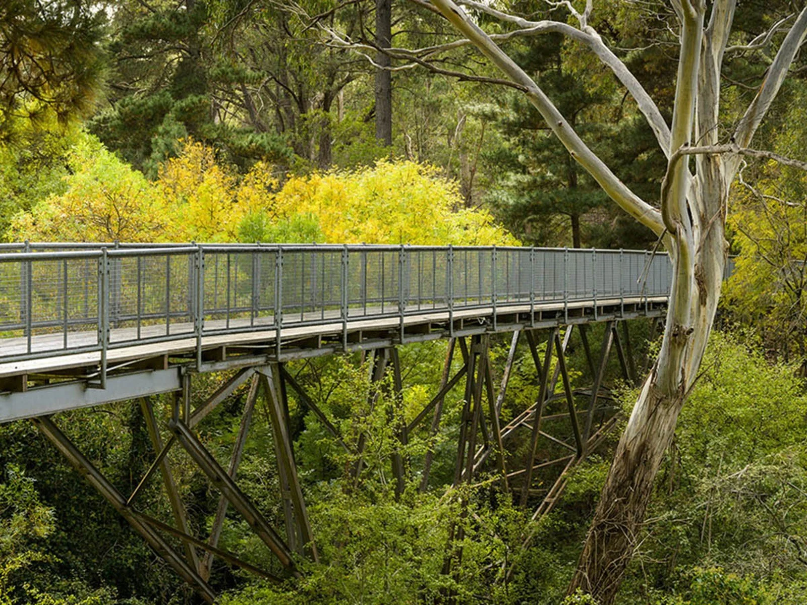 hepburn-mineral-springs-reserve_DMR_R_S_155785-3_1600x900.jpg