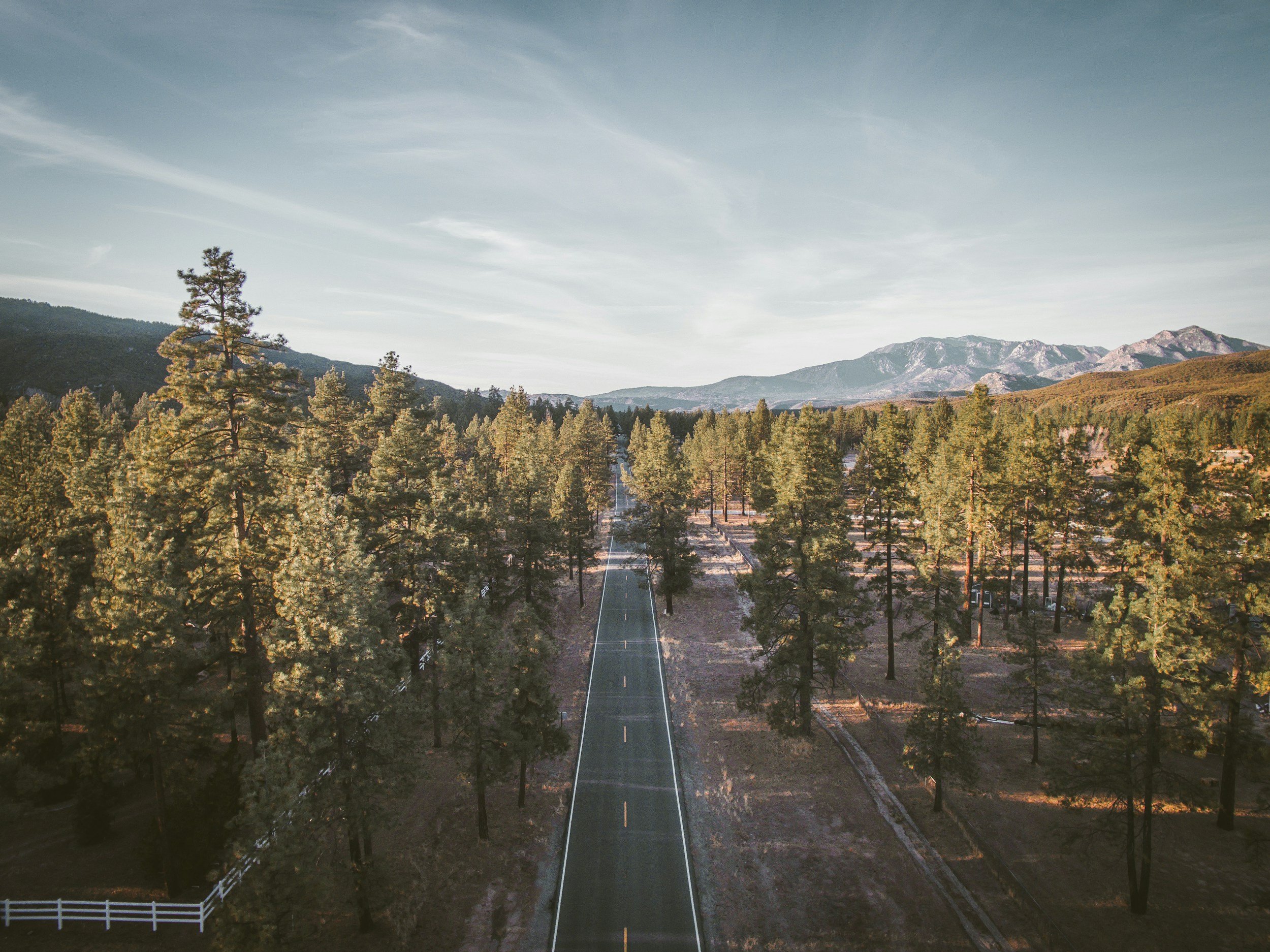 Disciplined Investing in Efficient Markets