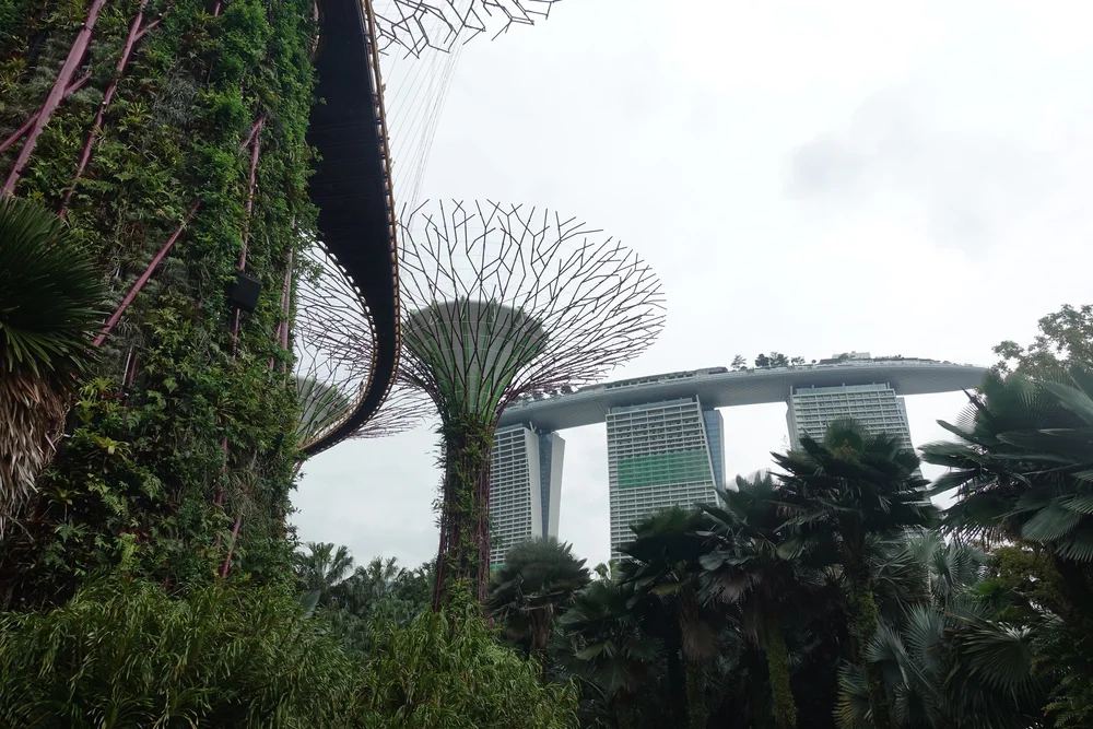 Singapore Travel Guide – Explore the City Like a Local