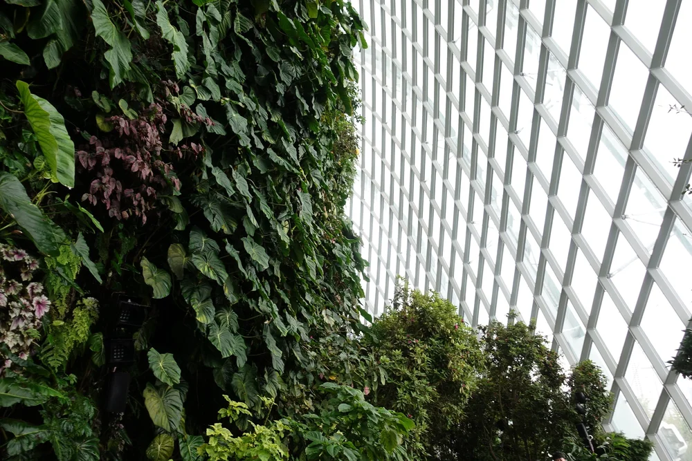 Singapore Travel Guide – Explore the City Like a Local