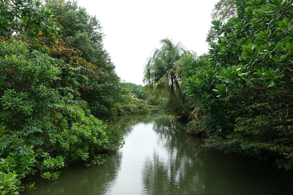 Singapore Travel Guide – Explore the City Like a Local