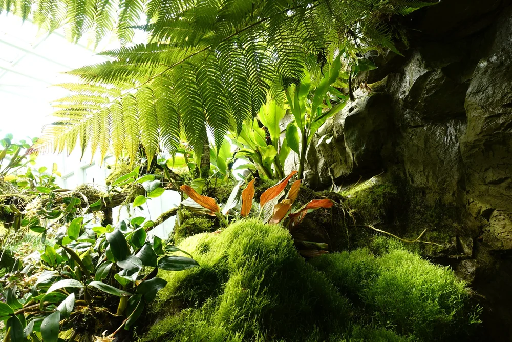 Singapore Travel Guide – Explore the City Like a Local