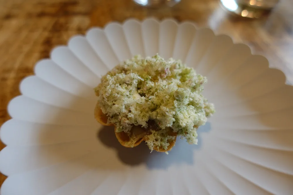 Selma Copenhagen – Modern Nordic Dining, MICHELIN Guide