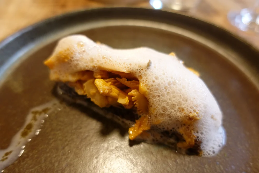 Selma Copenhagen – Modern Nordic Dining, MICHELIN Guide