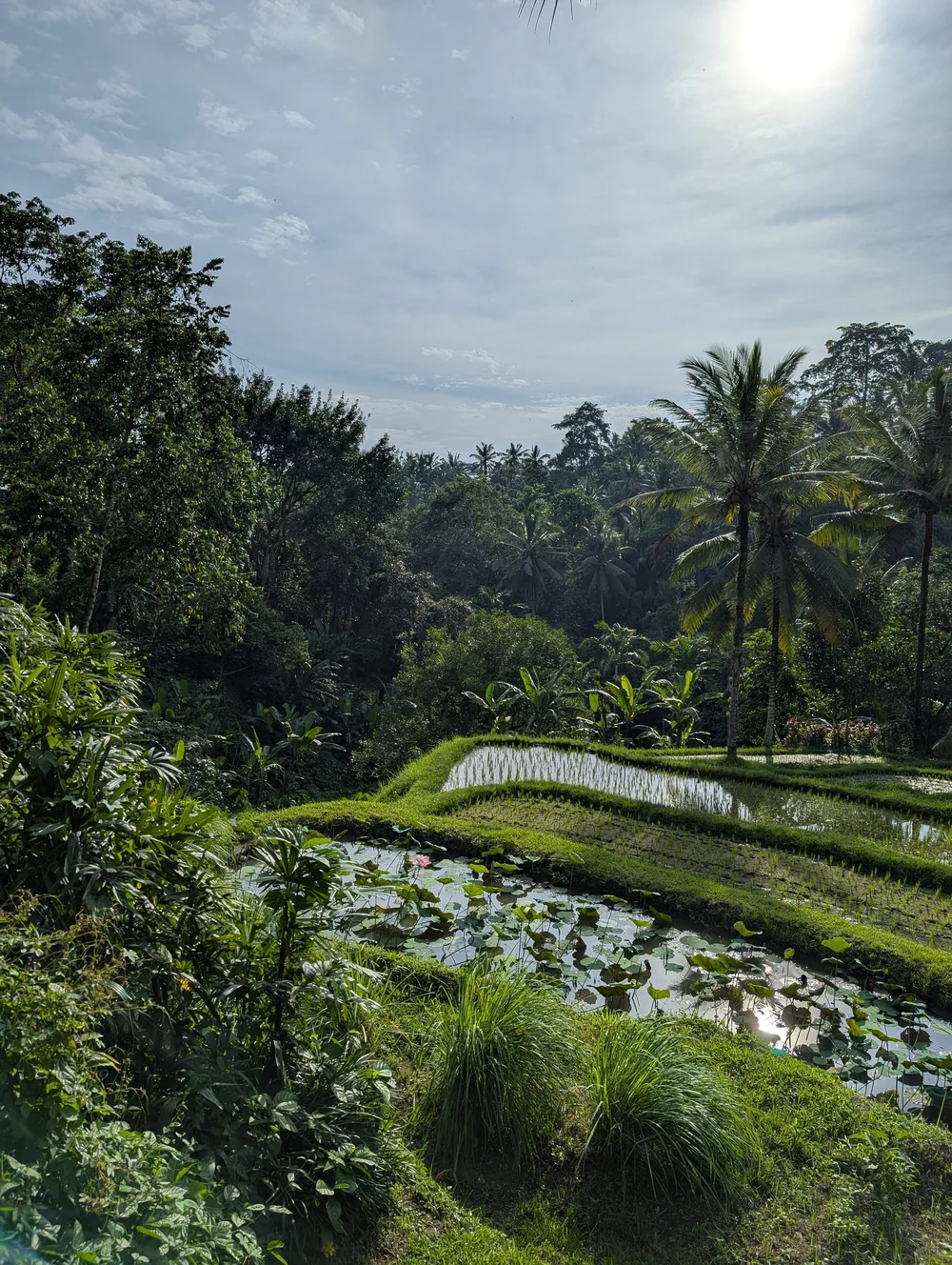 Komaneka at Bisma, Ubud – 5-Star Bali Resort with Jungle Views