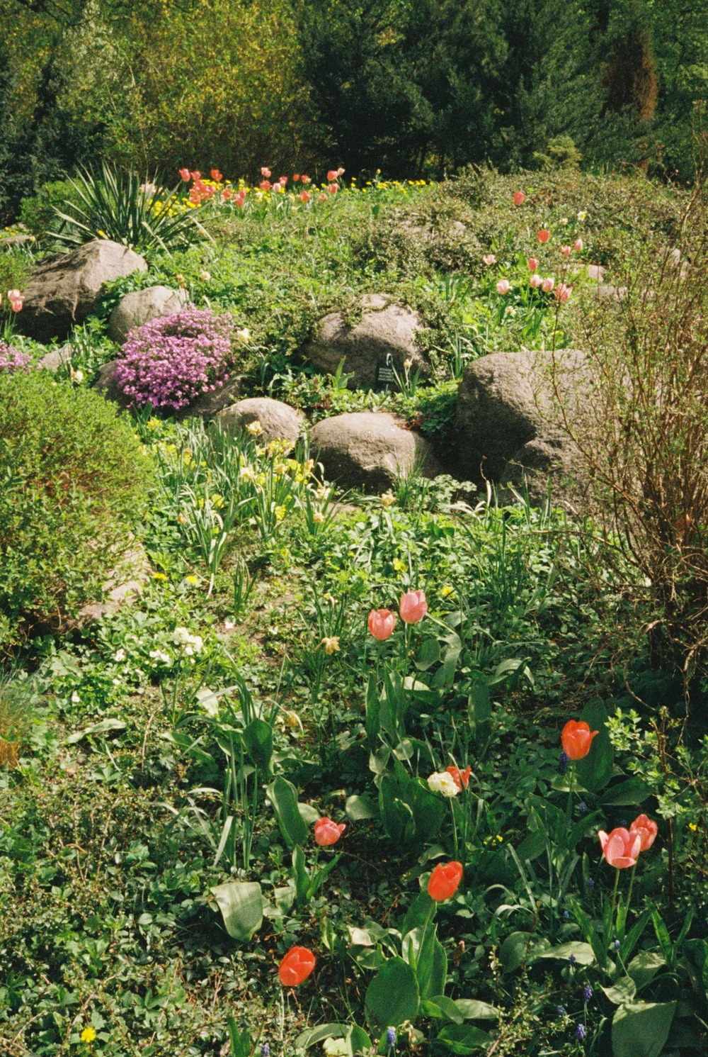 Bernardine Garden Vilnius. City break in Lithuania's capital.