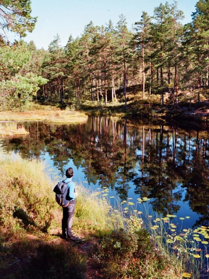 5 Favourite Summer Walks in Oslo (Plus a Local Bonus Secret)
