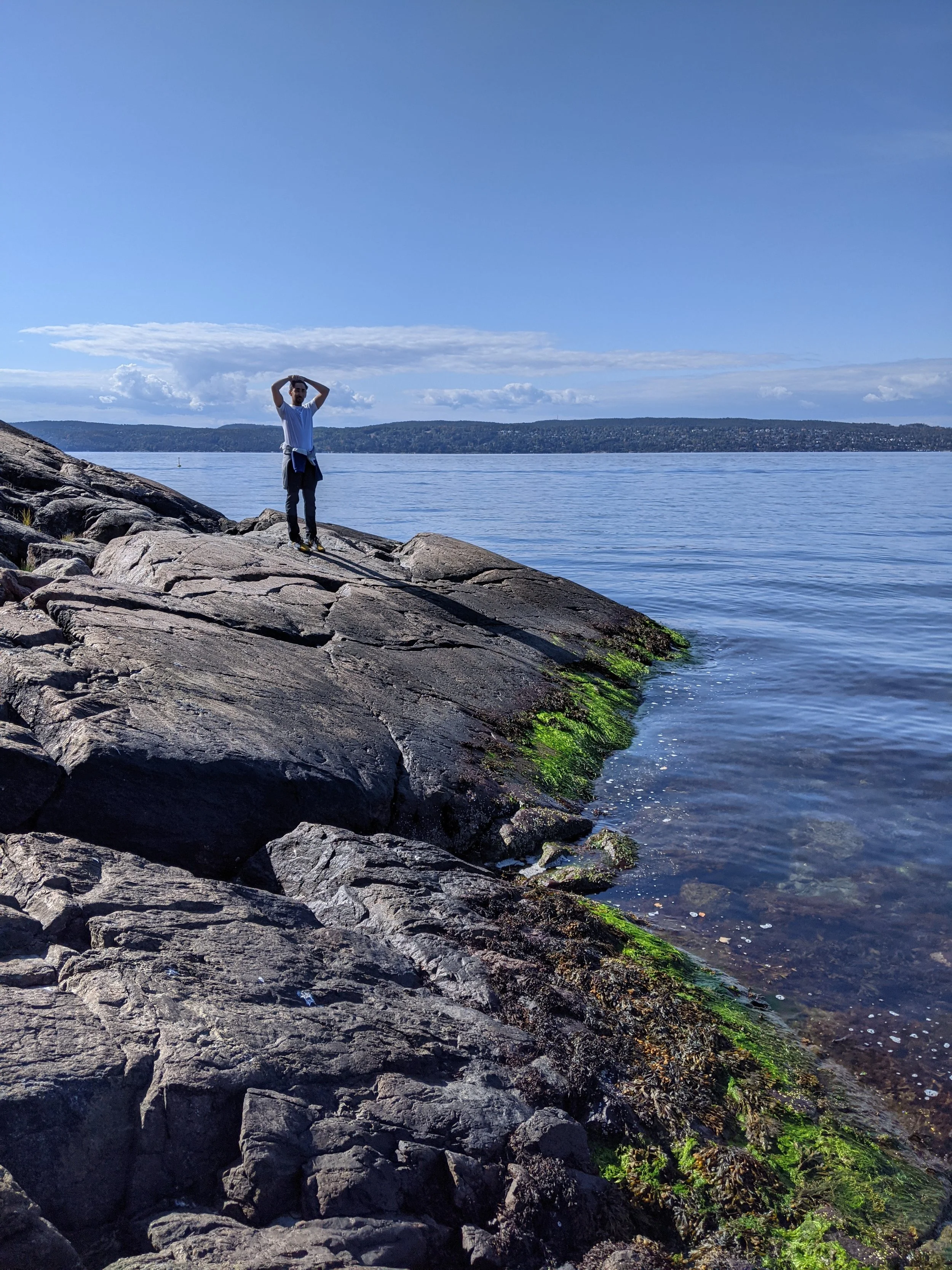 Hvervenbukta. 5 Best Summer Walks in Oslo.