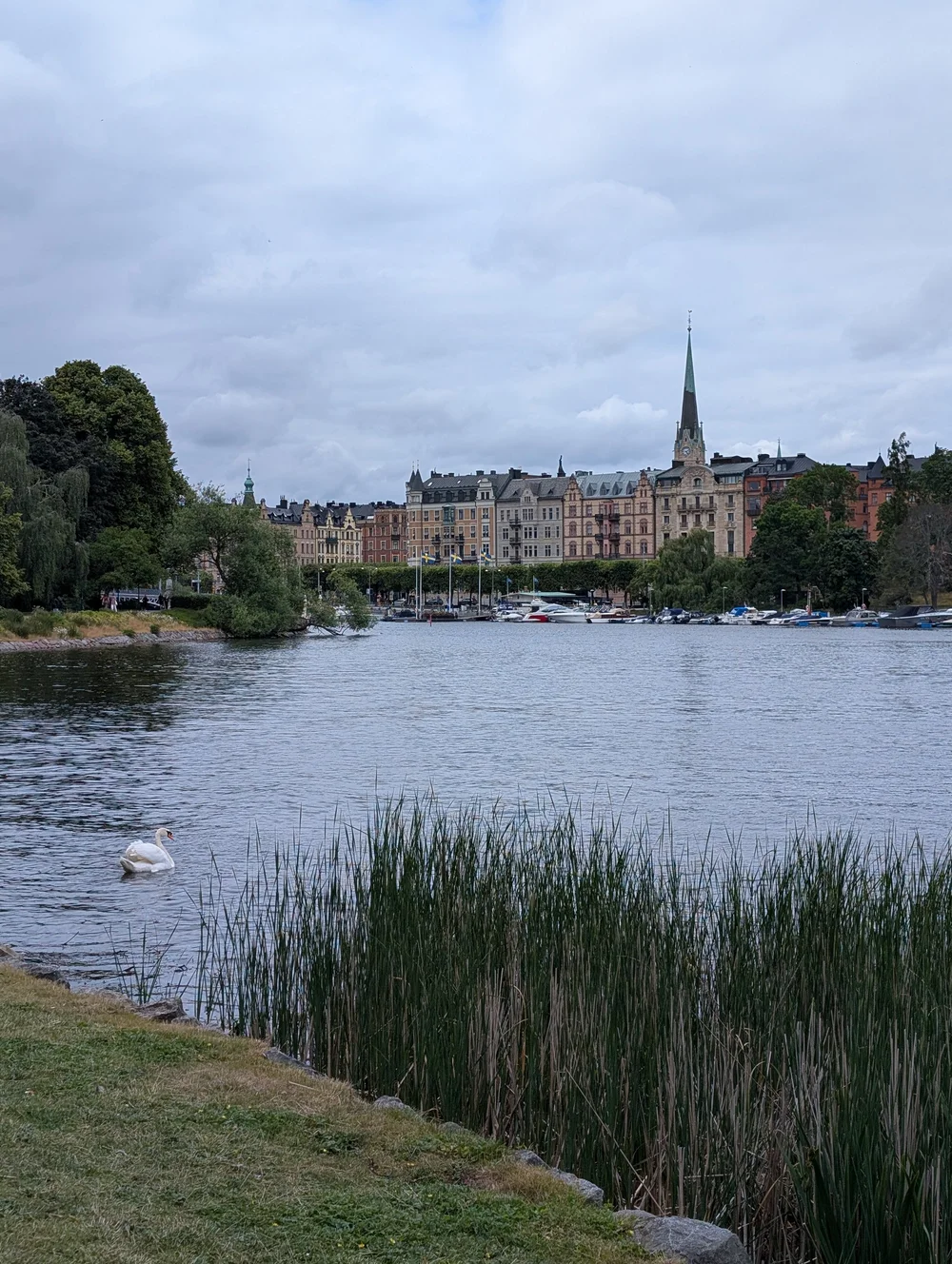 Djurgården, Stockholm