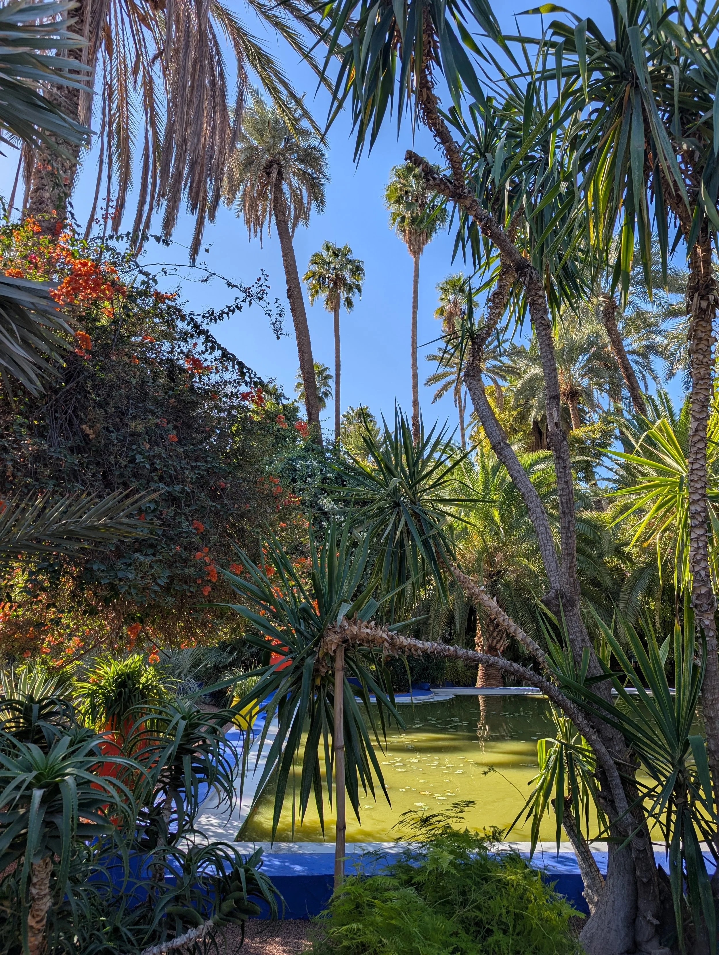 Jardin Majorelle_4