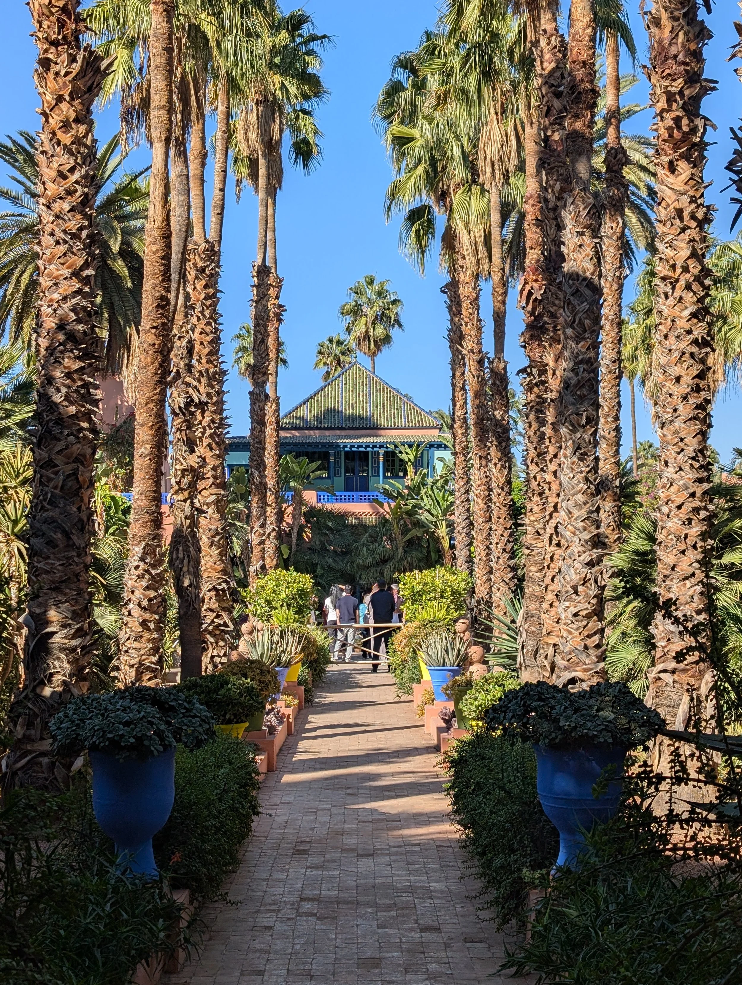 Jardin Majorelle_3