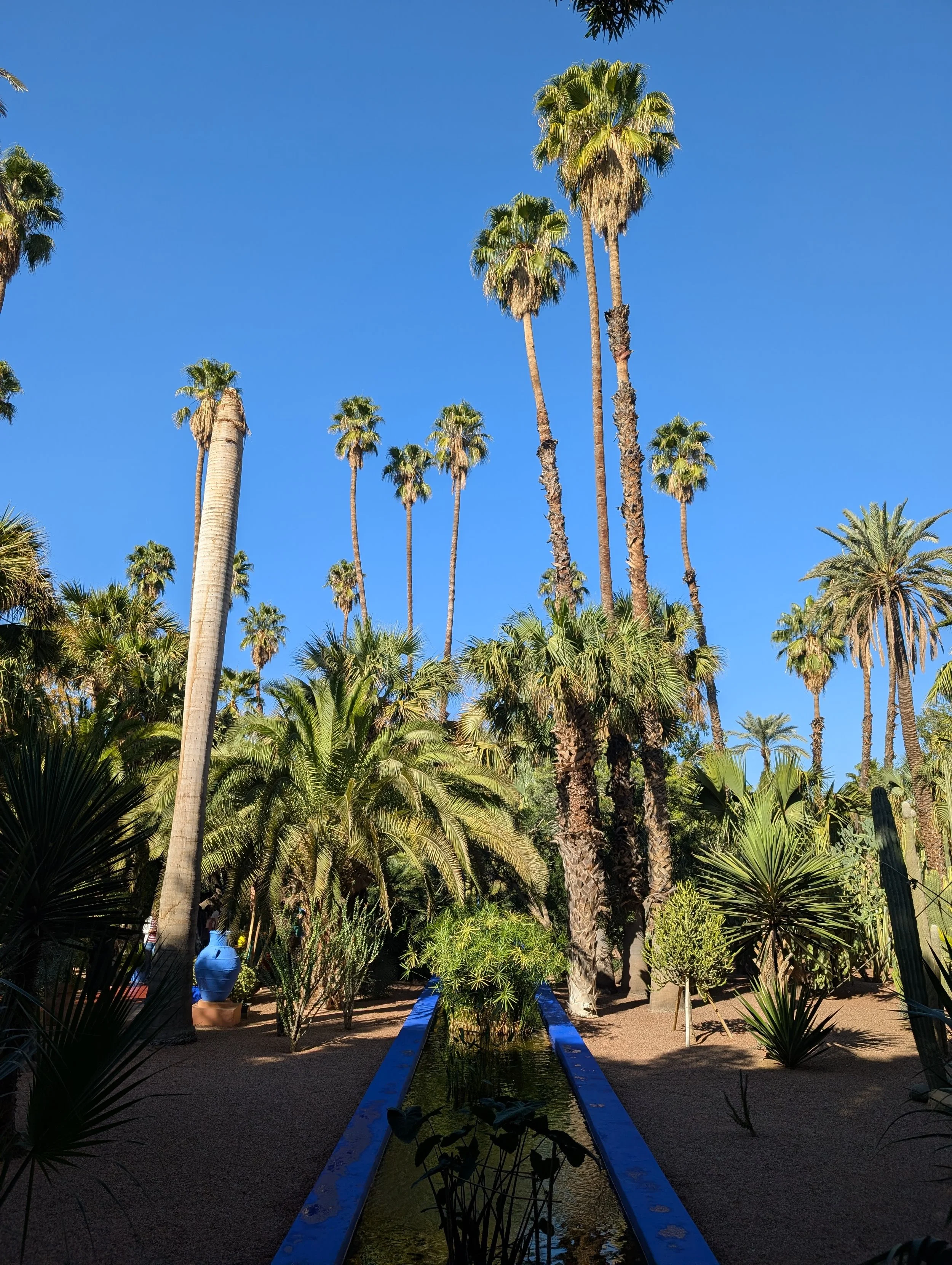 Jardin Majorelle_1